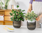 Melphoe Self Watering Pots for Indoor Plants Planter, 6.5 Inch 2 Pack Planters - Image 2