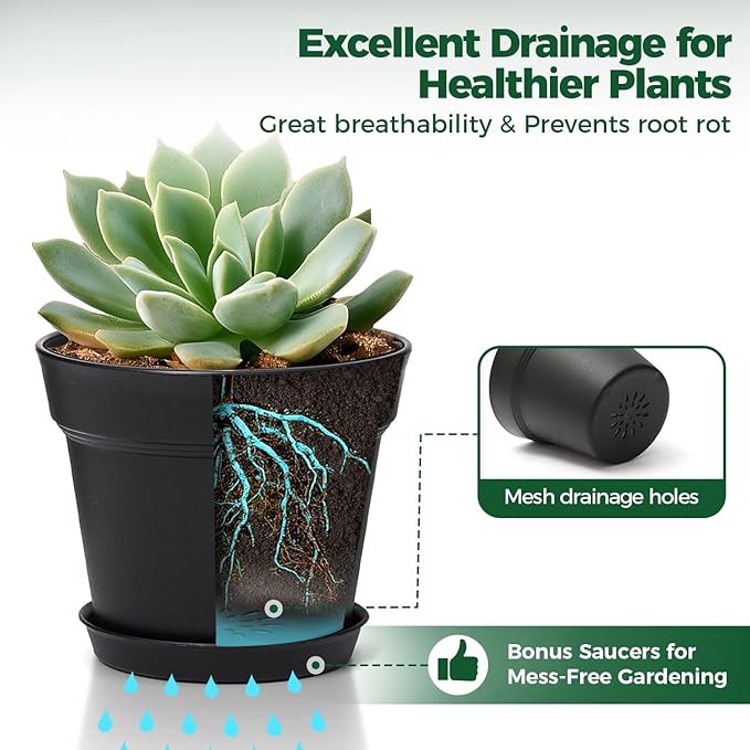T4U 6 Inch Plant Pot 8-Pack, Plastic Planter - Image 4