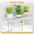 Lifewit Window Plant Floating Shelves 14.6x3.6, 3 Pack Acrylic Suction Cup Shelf - Image 4