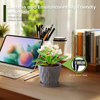 5 inch Plant Pots for Indoor Outdoor Plants, 6 Pack Thick Flower Pots - Image 4