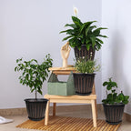 FGstyle 12 Inch Pots for Plants, 4 Pack Tall Planters, Large Flower Pots - Image 5