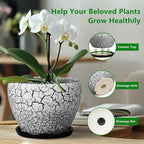Ceramic Planter Pot - Image 5
