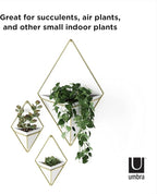 Umbra Trigg Hanging Planter Vase Wall Decor, Faux Plants, and More - Image 7