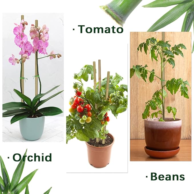 Plant Stakes, 16 Inches Natural Garden Bamboo Sticks, BOVITRO 20Pcs Plant - Image 5