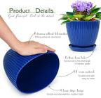 Plant Pots Indoor with Saucers & Drainage - Image 5