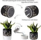 Nihow Self Watering Plant Pot: 6 Inch Ceramic Planter - Image 3