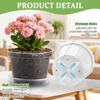 12 Pack 8 Inch Clear Plant Pots - Image 3
