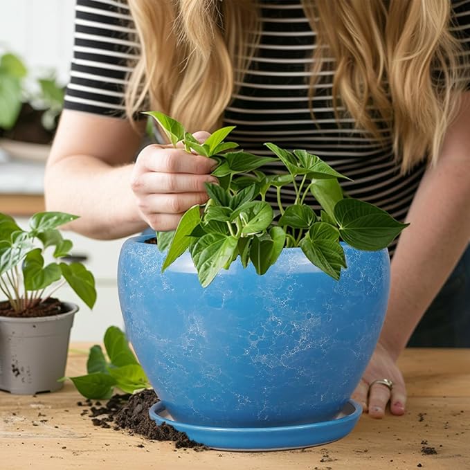 Ceramic Planter - Image 7