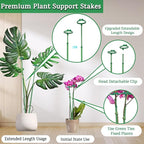 Extendable Plant Stakes, Length Scalable from 17.5IN to 30.1IN Plant Support - Image 3