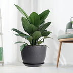 12inch Large Plant Pot, Modern Plastic Planter - Image 7