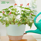 12 inch Large Self Watering Plant Pots, Flower Pots Planters - Image 6