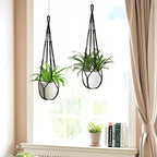 Macrame Plant Hanger Indoor Set of 4 - Image 3
