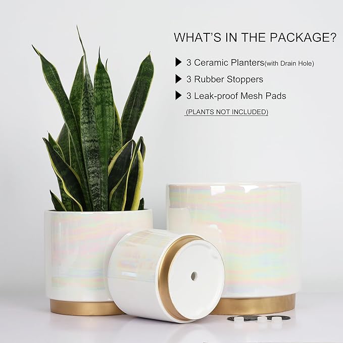 Gepege White Indoor Pots for Plants, Ceramic Planter - Image 3