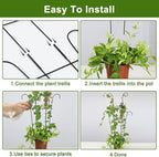 23in Plant Trellis Indoor, Trellis - Image 6