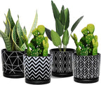 Ton Sin Flower Pots, 5.5 Inch Black Ceramic Planter by TonSin