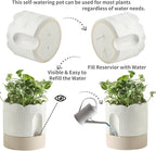Nihow Self Watering Plant Pot for Indoor Plants - Image 3