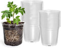 50 Packs 4 Inch Reinforced Clear Nursery Pots by Bluepro