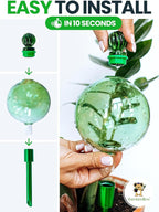 16 Oz Plant Watering Globes for Indoor Plants - Image 4