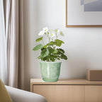 Ceramic Plant Pots - Image 6