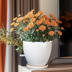 8 Inch Plant Pot - Image 2