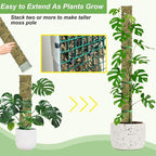 60"/40"/24" Metal Moss Pole, D Shape Sphagnum Moss Pole, Moss Poles - Image 4