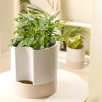 Nihow Self Watering Plant Pot: 8 Inch Ceramic Planter - Image 6