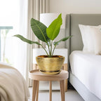 Ceramic Plant Pot Indoor - Image 7