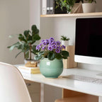 Ceramic Self Watering Pots, 6 Inch African Violet Pots - Image 3
