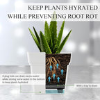 6-Pack 17" + 7" Window Box Planters & Square Pots - Image 3