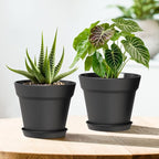 5 Inch Plastic Plant Pots with Drainage Holes and Trays – 6 Pack Small Nursery - Image 6