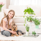 iDavosic.ly 3 Tier Plant Stand Indoor, Tiered Corner Flower Holder Shelf Outdoor - Image 2