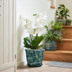 Ceramic Plant Pots - Image 6