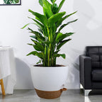 12 inch Large Self Watering Pots, Plastic Planters - Image 6