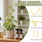 3 Pcs 15.75 Inch Indoor Plant Trellis - Image 3