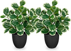 Sets of 2 Artificial Plants Indoor Home Decor, 14.5" Fake Potted Silk Plants - Image 8