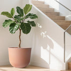 WORTH Garden Round Large Planter Pot 1-Pack, 17.5" Dia x 15.5" H - Image 5