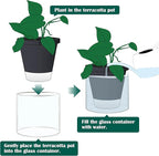 D'vine Dev 8 Inch Design Self Watering Planter - Image 7