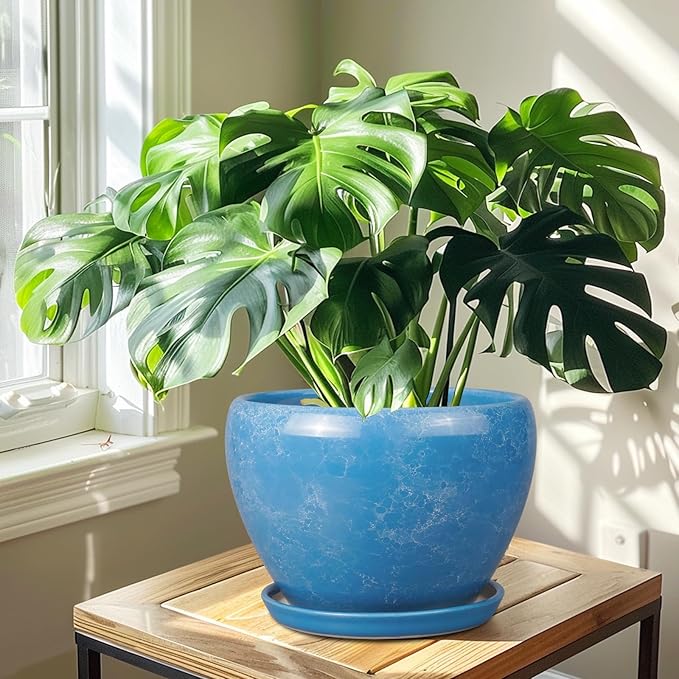 10 Inch Planter Pot - Image 7