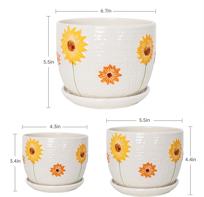 Ton Sin Plant Pots, 4+5+6 inch Pots - Image 3