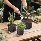 Plant Pots 6/5/4 inch Set of 3, Self Watering Pots - Image 7