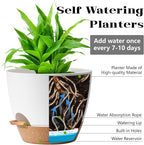 Indoor Plant Pots for Lazy People, African Violets, Snake Plants, Flowers and - Image 2