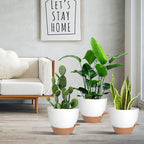 Planters for Indoor Plants, 10/9/8 Inch Self Watering Plant Pots - Image 6