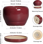 SQOWL 6 Inch Plant Pot - Image 3