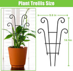 Coomin Small Plant Trellis for Climbing Plants Indoor, 14.5in Metal House Plant - Image 2