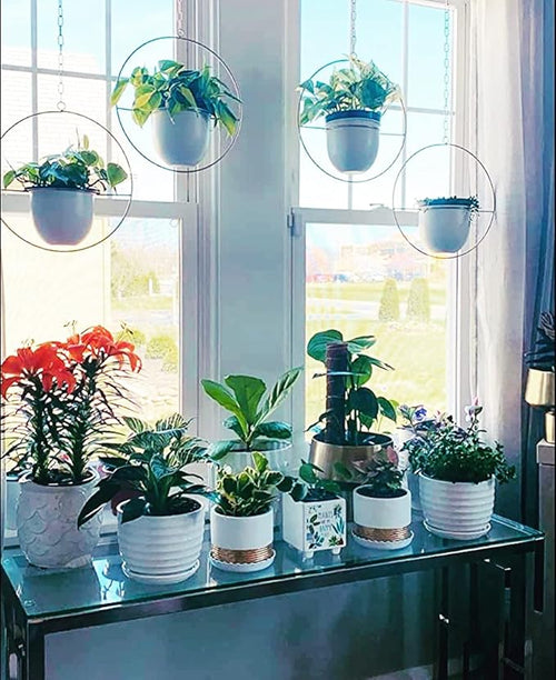 2 Pack Hanging Planters for Indoor Plants - Image 2