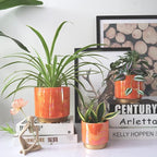 Gepege Ceramic Indoor Pots for Plants, Rainbow Pearl Glaze Planter - Image 7
