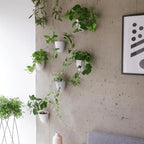 Make Good PlantPod Luxe Self-Watering Wall Planters - Image 7