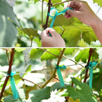10 Pcs 150 Feet x 1/2" Wide Stretch Tie Tape Green Plant Garden Tie, Garden - Image 3