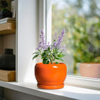SQOWL Ceramic Plants Pots - Image 2