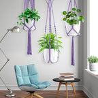 Macrame Plant Hangers - Image 4